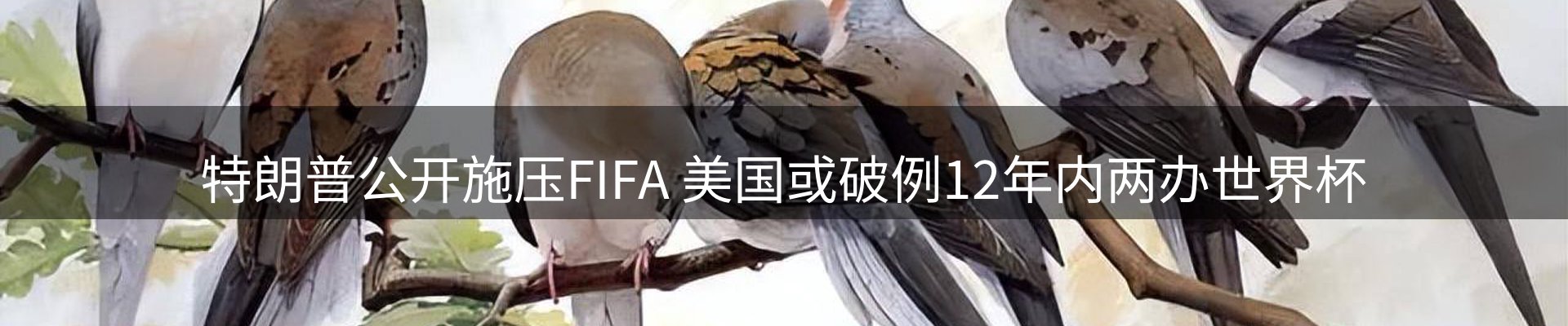 今日资讯